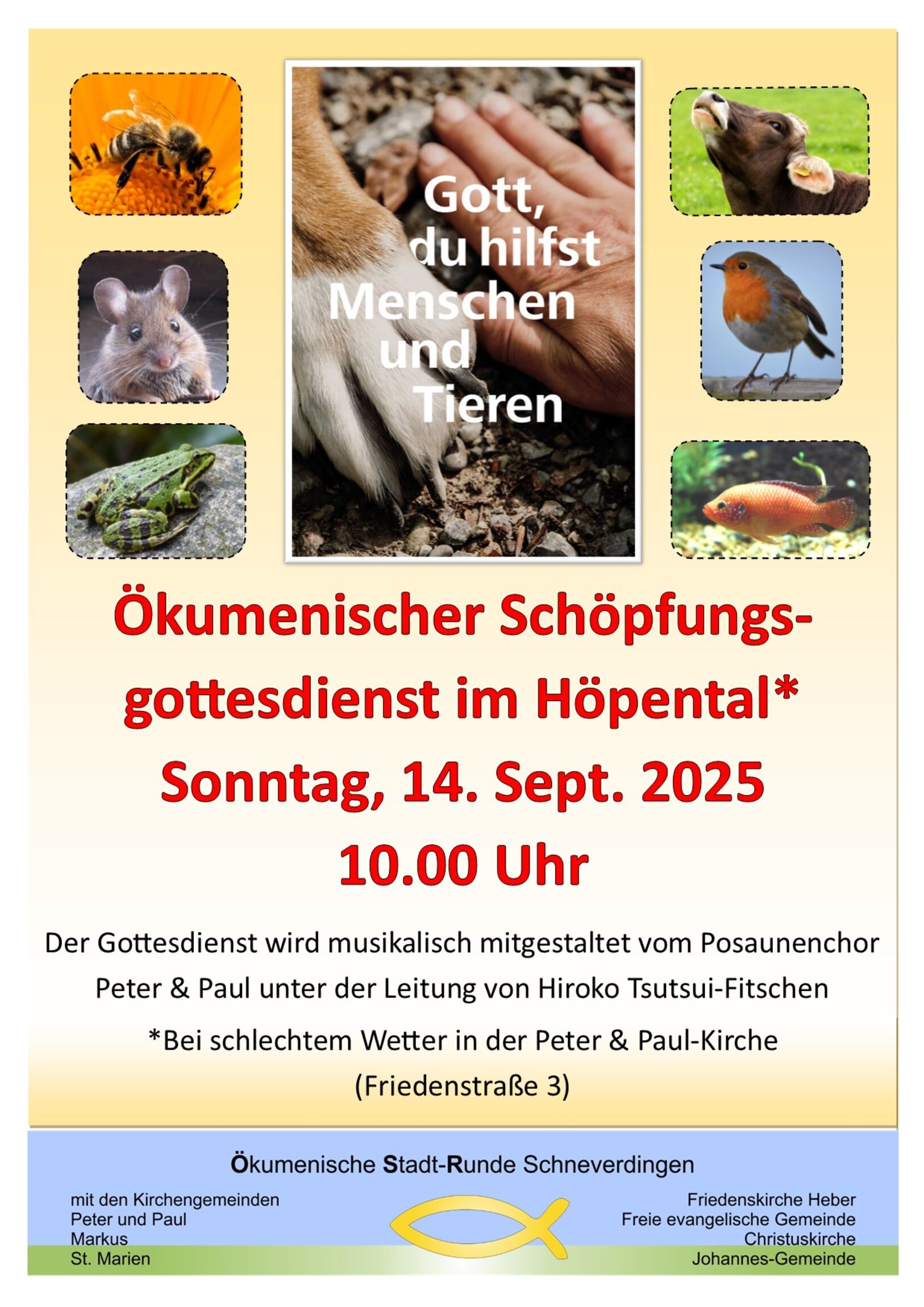 20250914_SchöpfungsGD