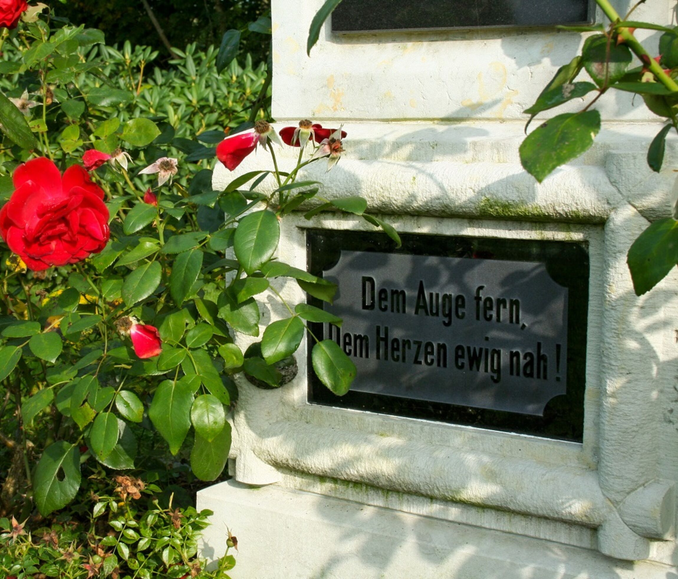 Friedhof Balje