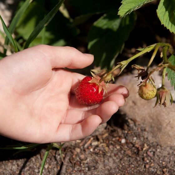 Schwerpunkte_Naturerfahrung