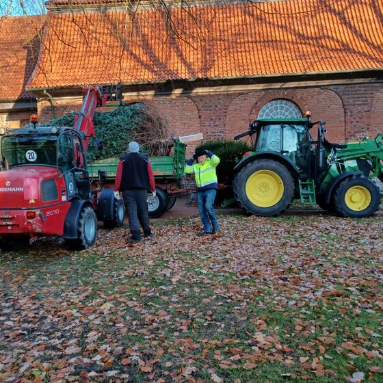 Der Weihnachtsbaum-Express trifft an der St.-Nicolai-Kirche ein