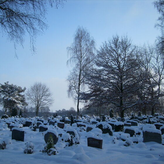 Gräber mit Schnee