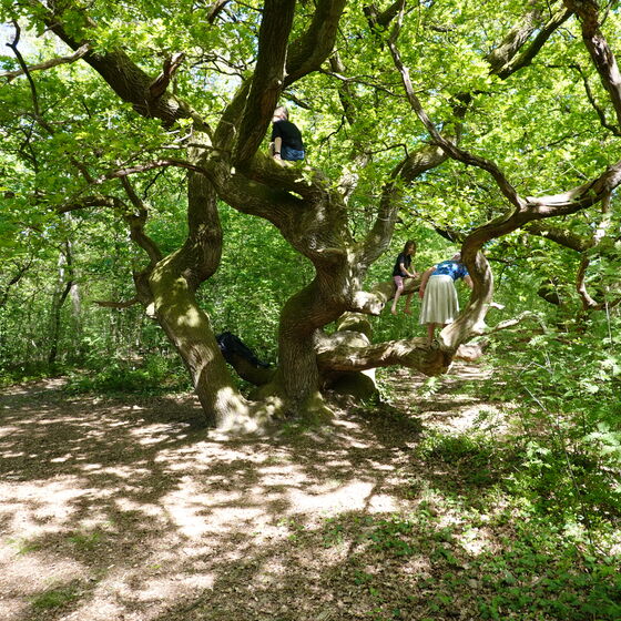 Pause auf und bei den Kratteichen