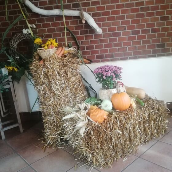 Andreaskirche Firrel Forum