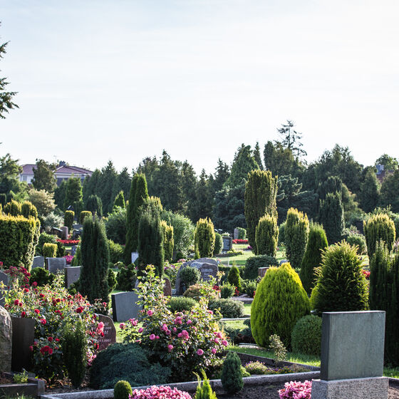 Friedhof Gräber