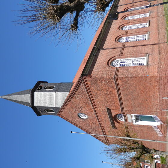 St. Wulphardi Turmblick