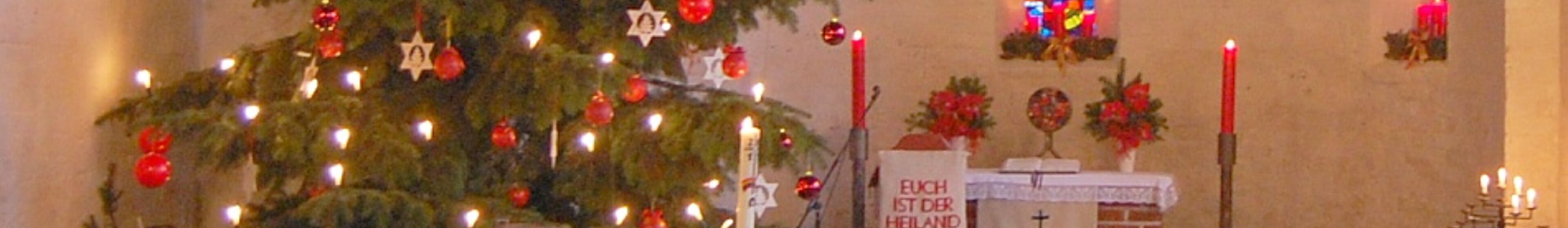 12_weihnachtsbaum_b2