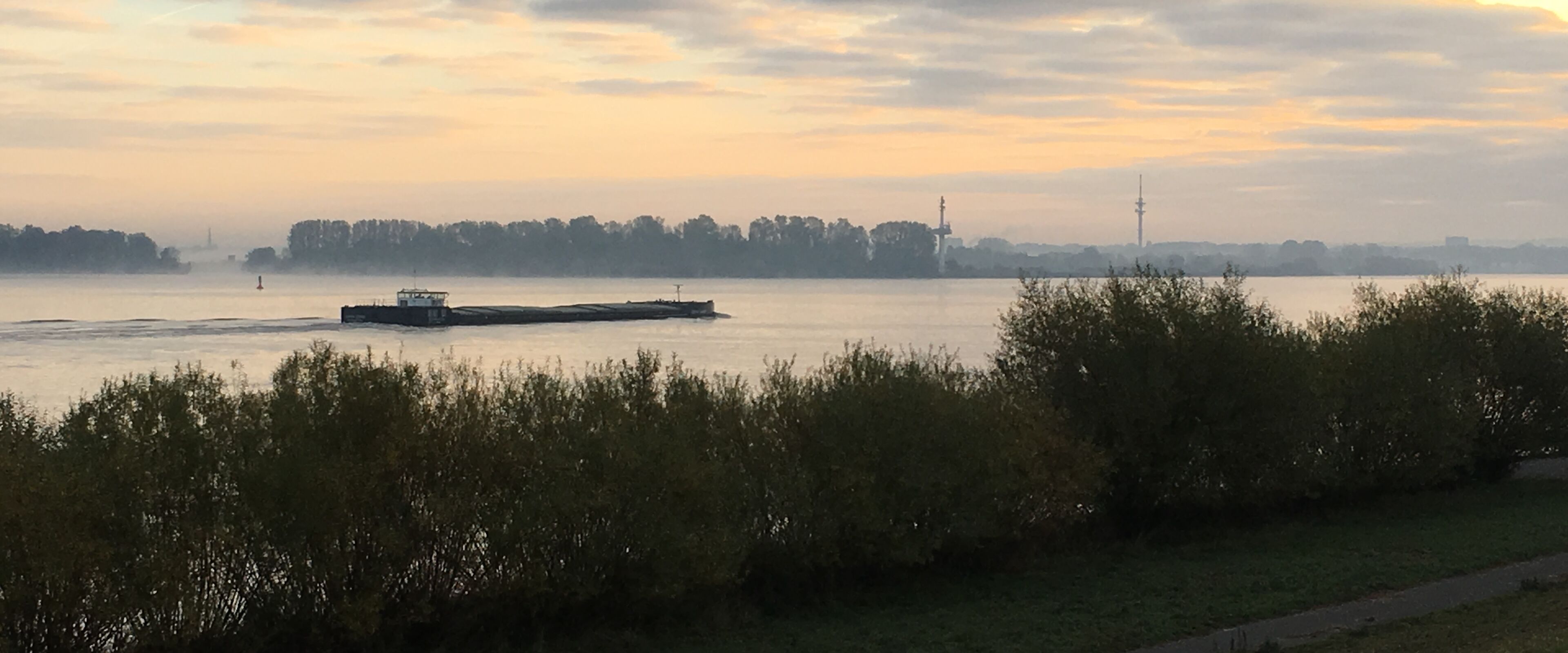 Elbe früh