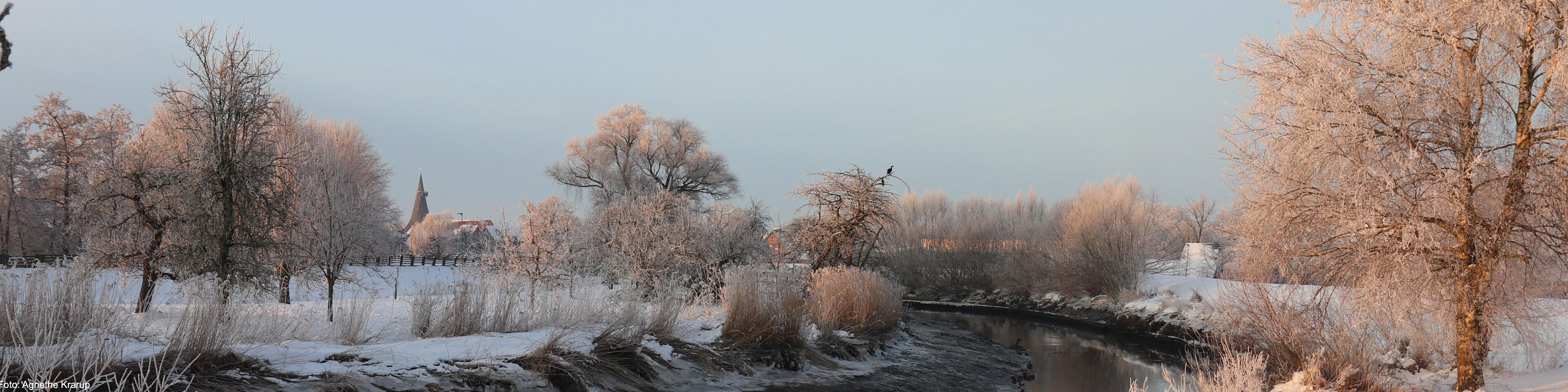 Foto: Agnethe Krarup