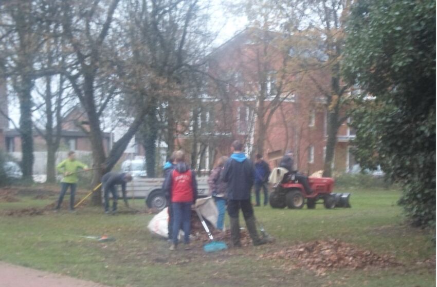 20241120_Aktion_Laub_und_Staub