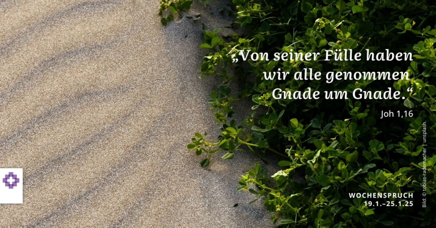 Wochenspruch