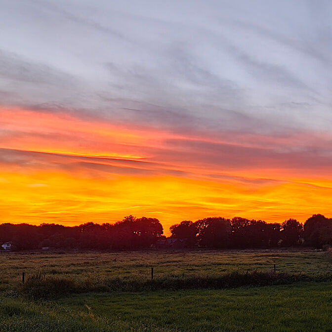 Sommerabend Wiepenkathen